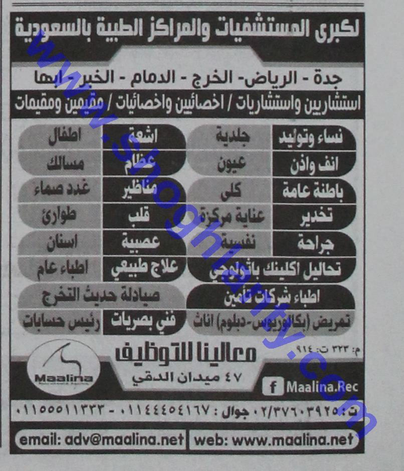 Jobs Accountants Chief Maalina Company For Employment Egypt Eg